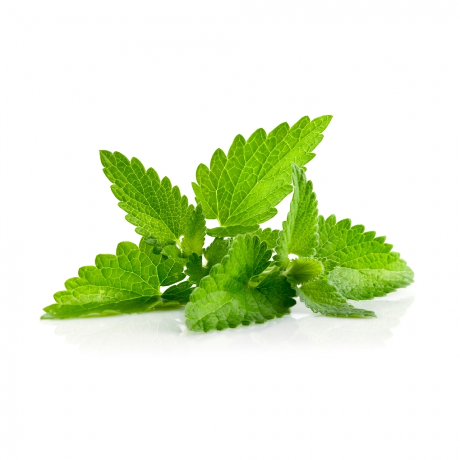 Welcome to the World of NATURE and NUTRITION ! Mint Leaves Welcome to the  World of NATURE and NUTRITION !